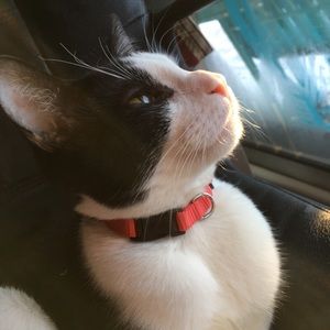 Meet your Posher, Kaycee